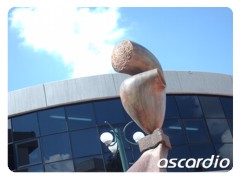 ascardio ascardio
